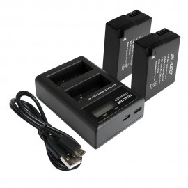 2 Replacement Battery and External USB Dual Charger for Panasonic DMW-BLC12 Camera